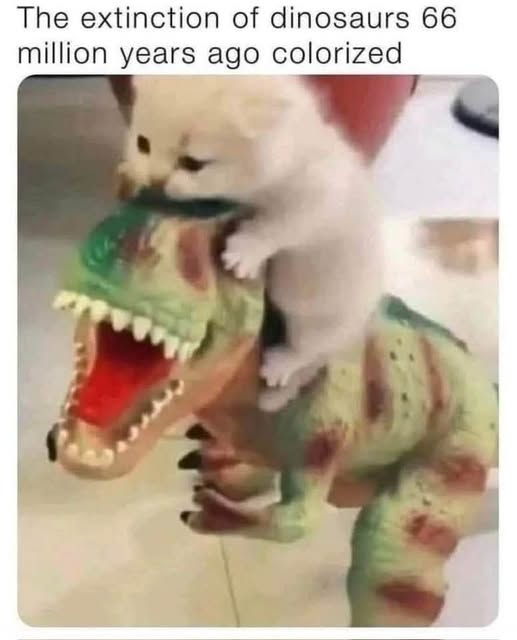 1777829929904.png