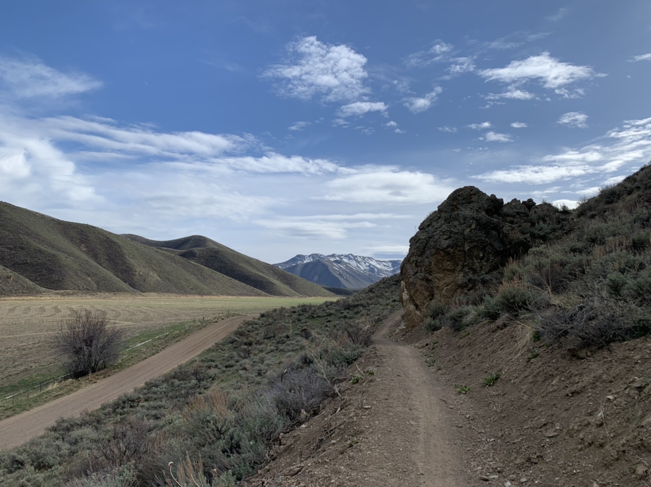 4F48135C-50B2-4993-9552-6B093CF5FBC6.jpeg