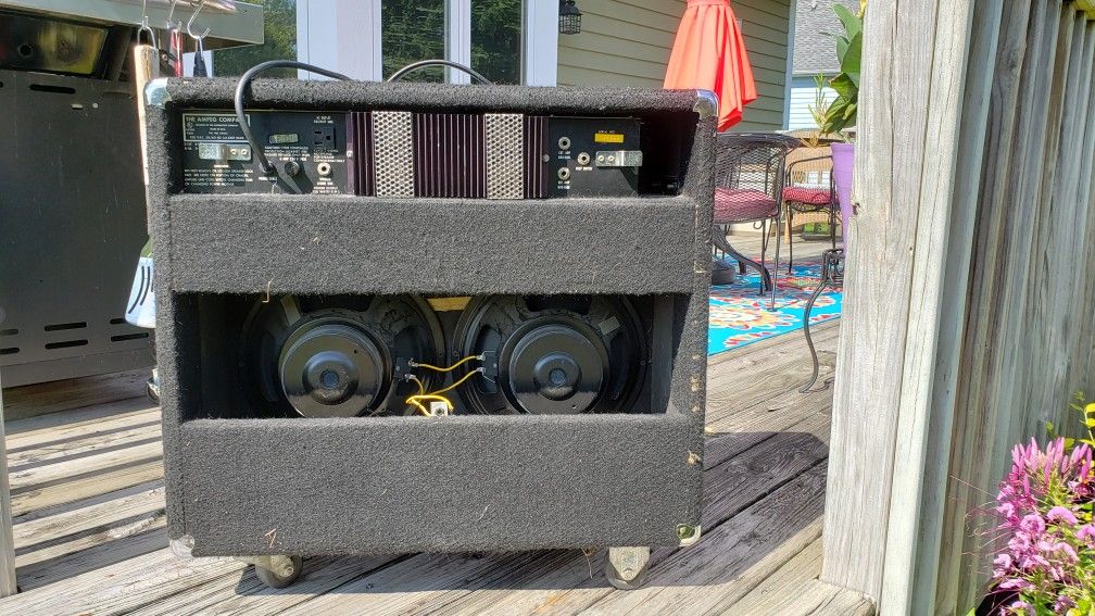 ampeg back.jpg
