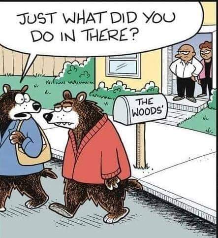 bears_woods.jpg