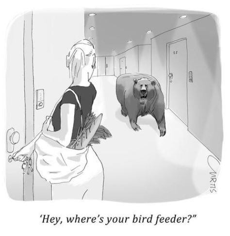 Bird feeder.JPG