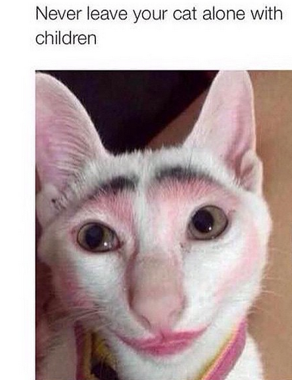 Cat with makeup.png