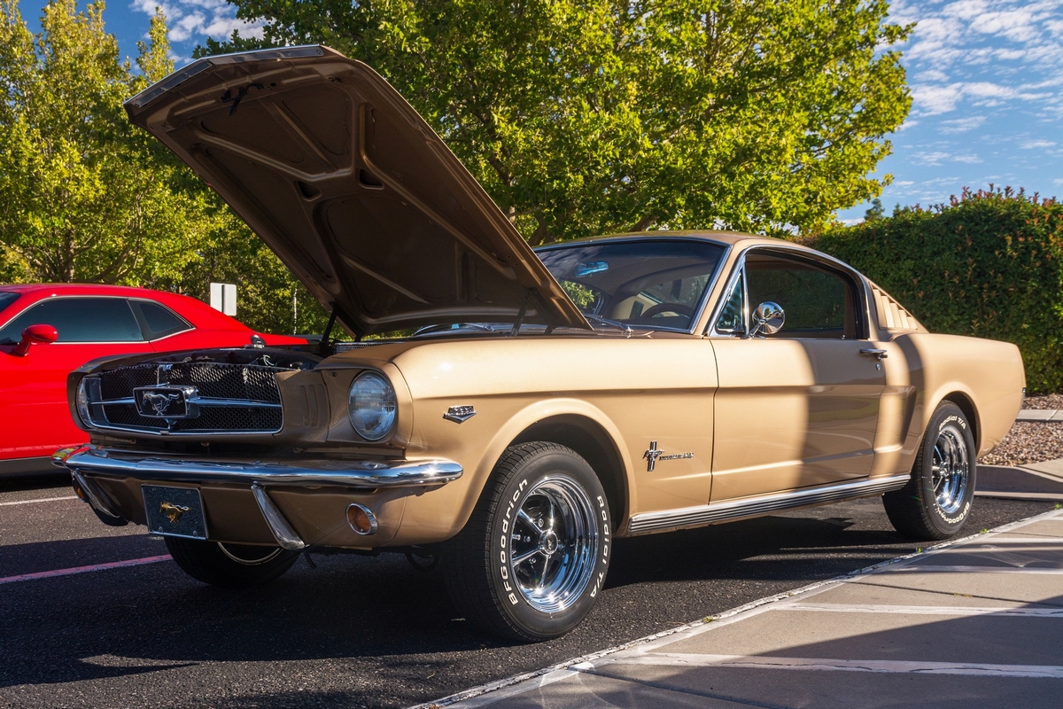 DSC_9518.jpg