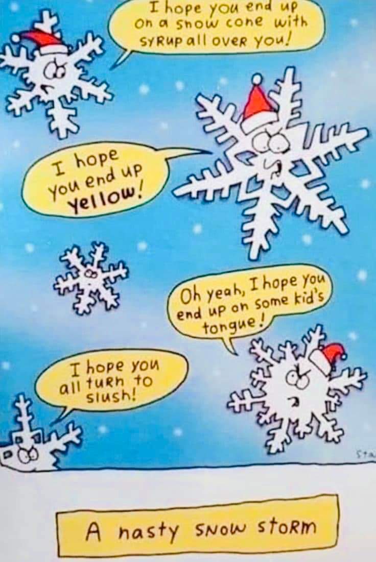 FB_IMG_1671205491513.jpg