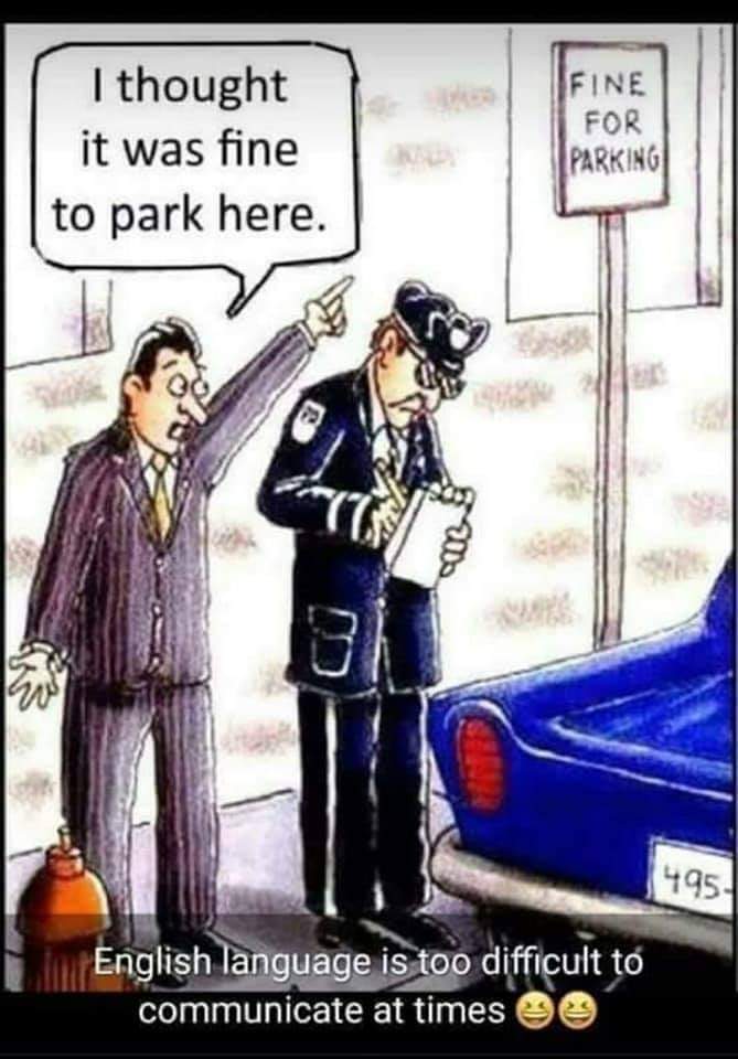 FB_IMG_1674588357794.jpg