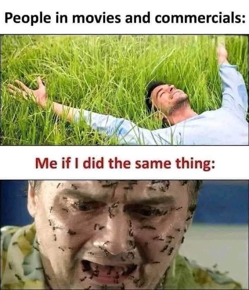 FB_IMG_1745902608484.jpg