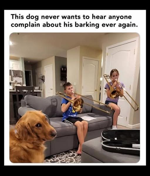 FB_IMG_1746810424194.jpg