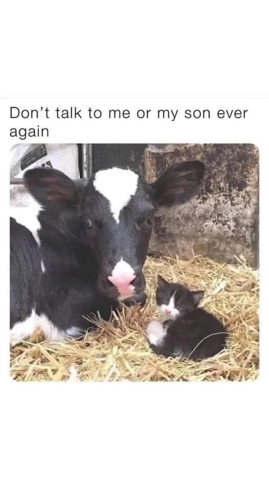 FB_IMG_1747859012732.jpg