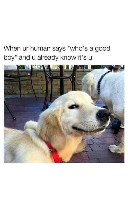 FB_IMG_1748481508306.jpg