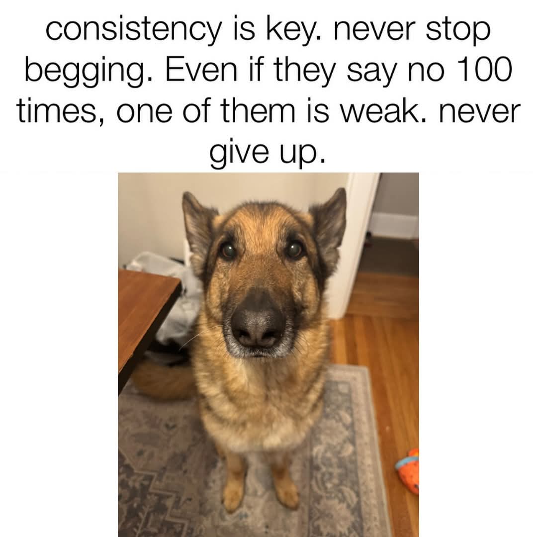 FB_IMG_1749317658844.jpg