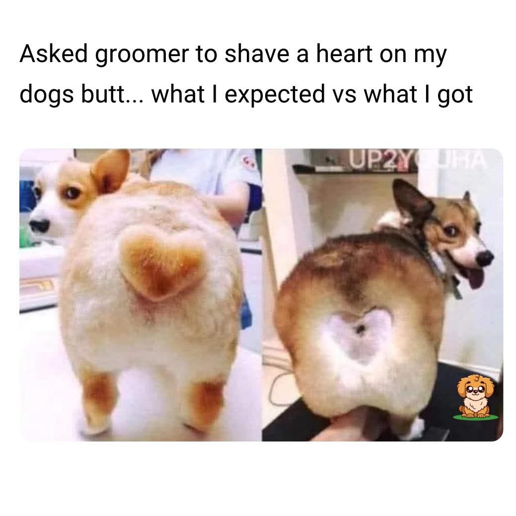 FB_IMG_1750576206132.jpg