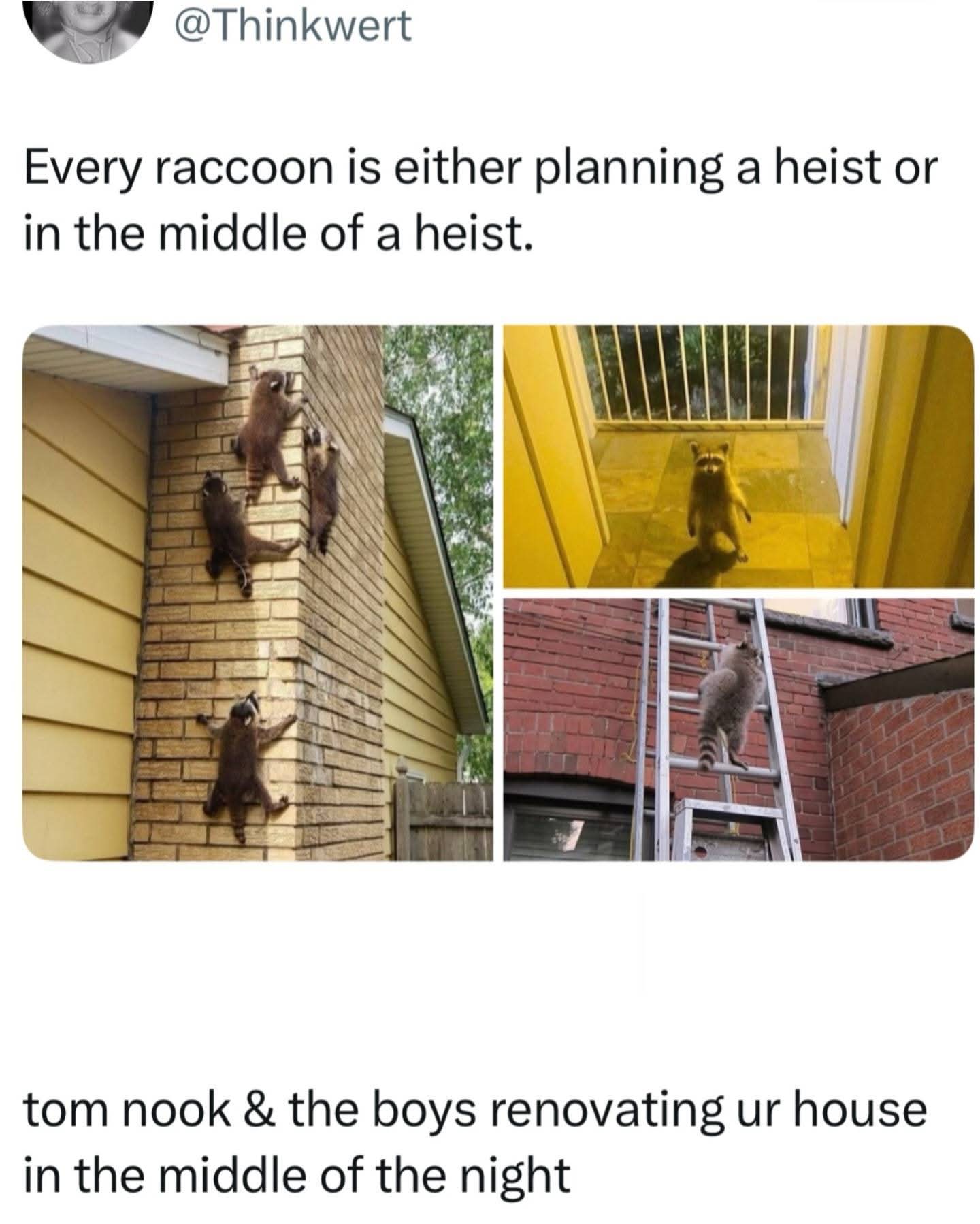 FB_IMG_1752582270047.jpg