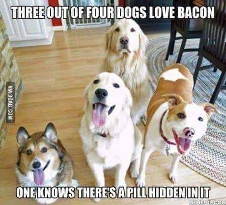 FB_IMG_1752965508316.jpg