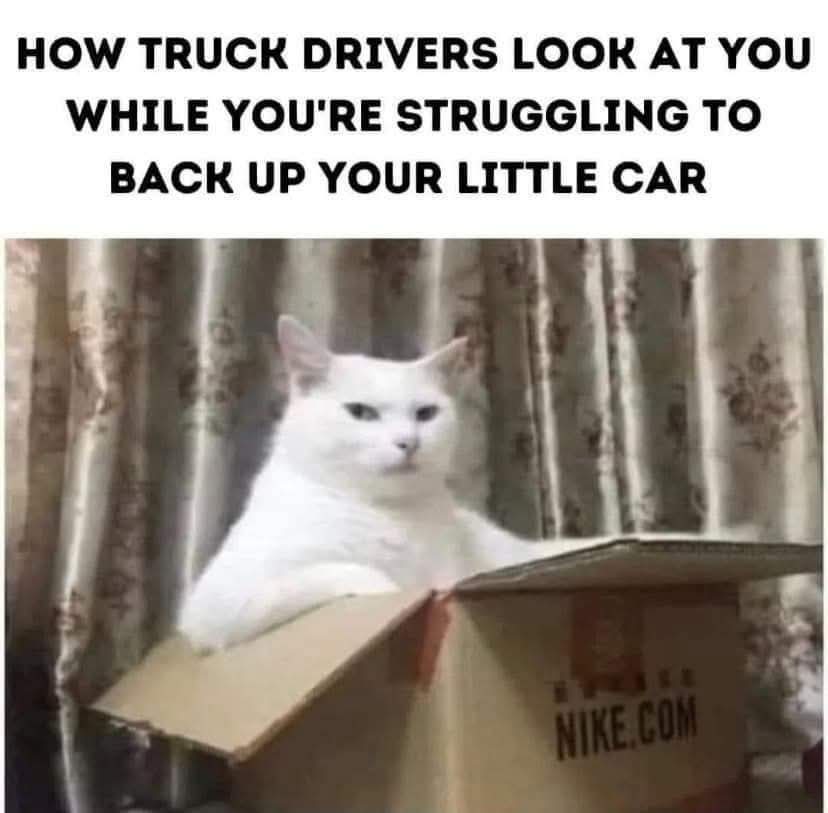 FB_IMG_1753517208497.jpg