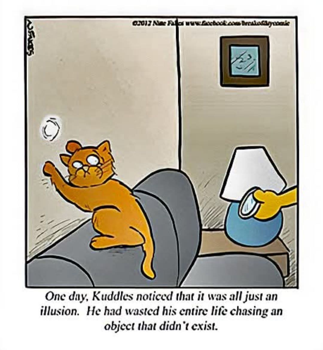 FB_IMG_1777293139972.jpg
