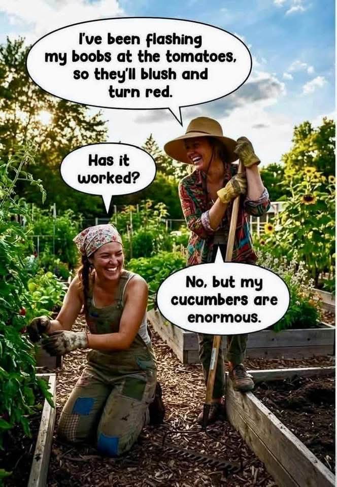 FB_IMG_1778957614450.jpg