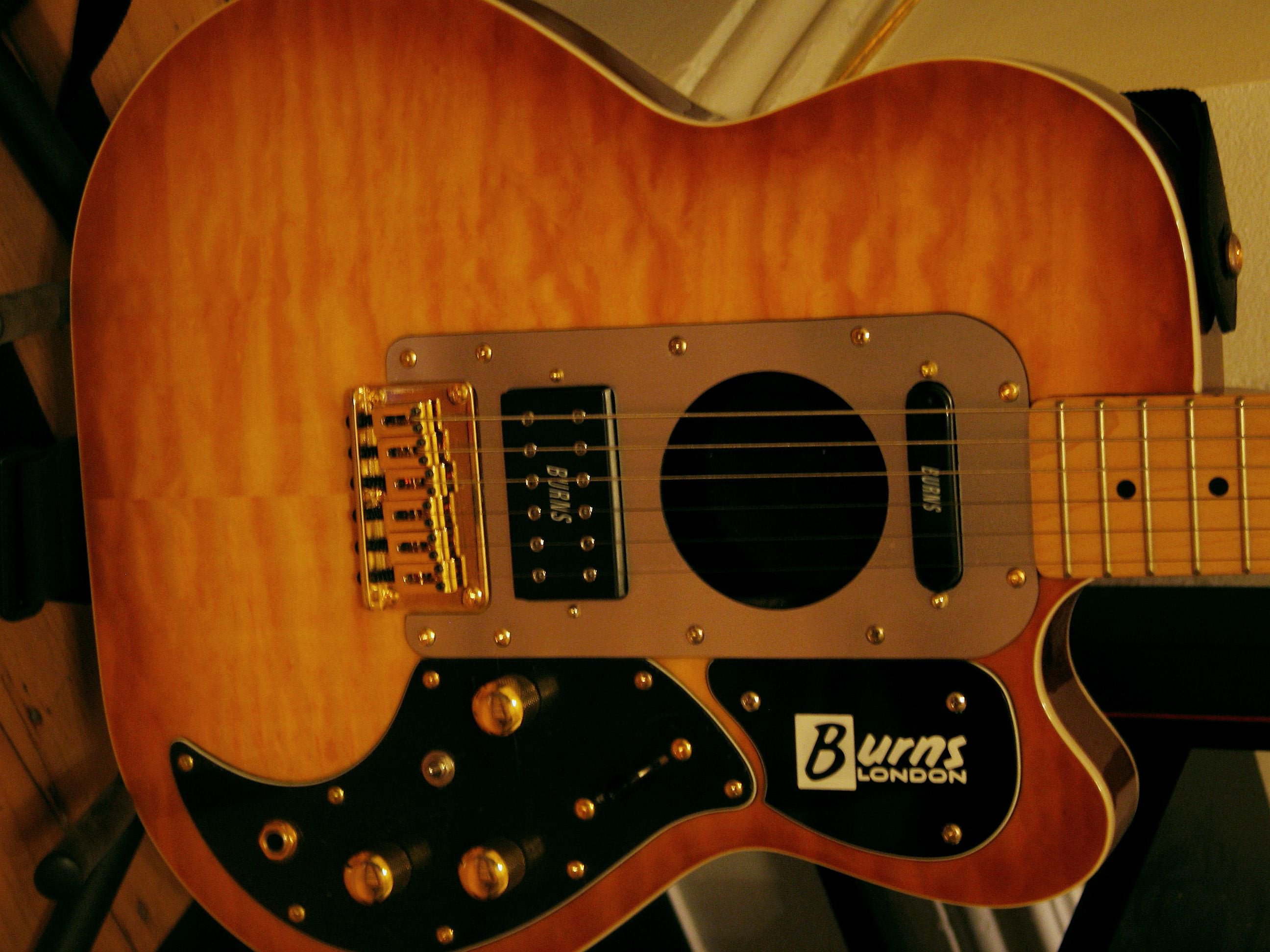 Guitars 2005 011.jpg