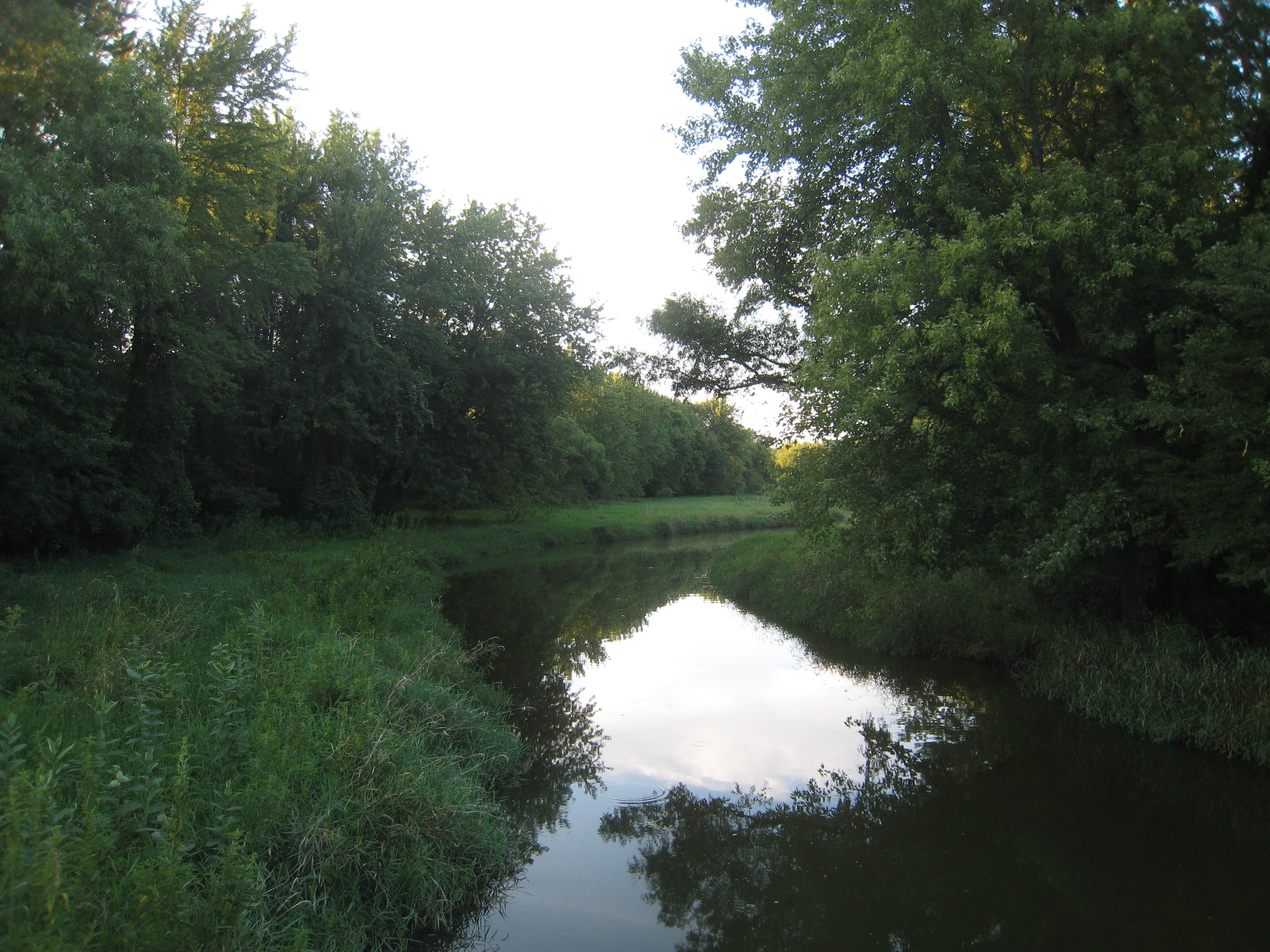 IMG_0725.JPG