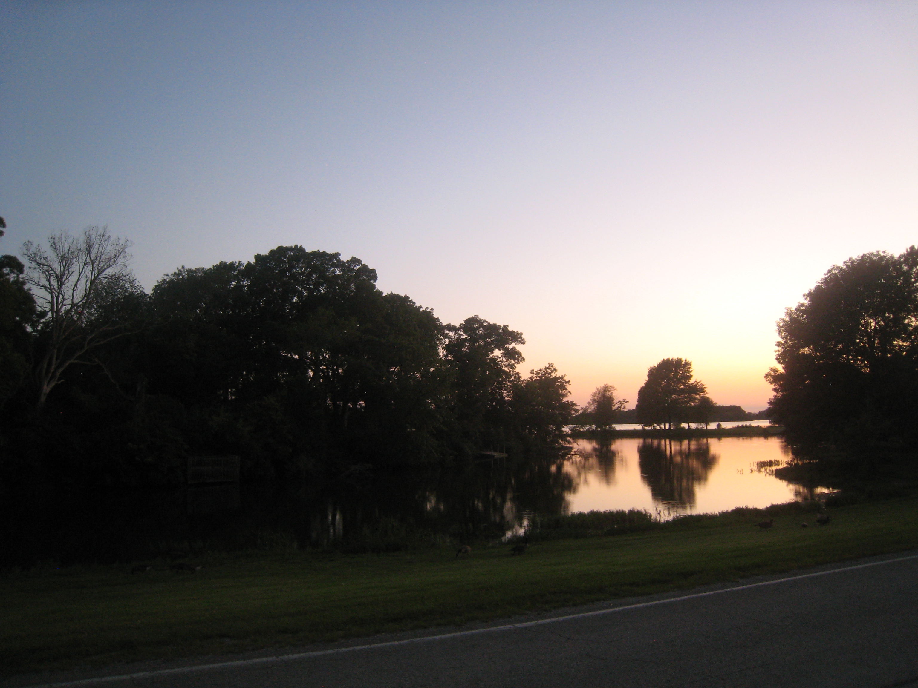 IMG_0736.JPG