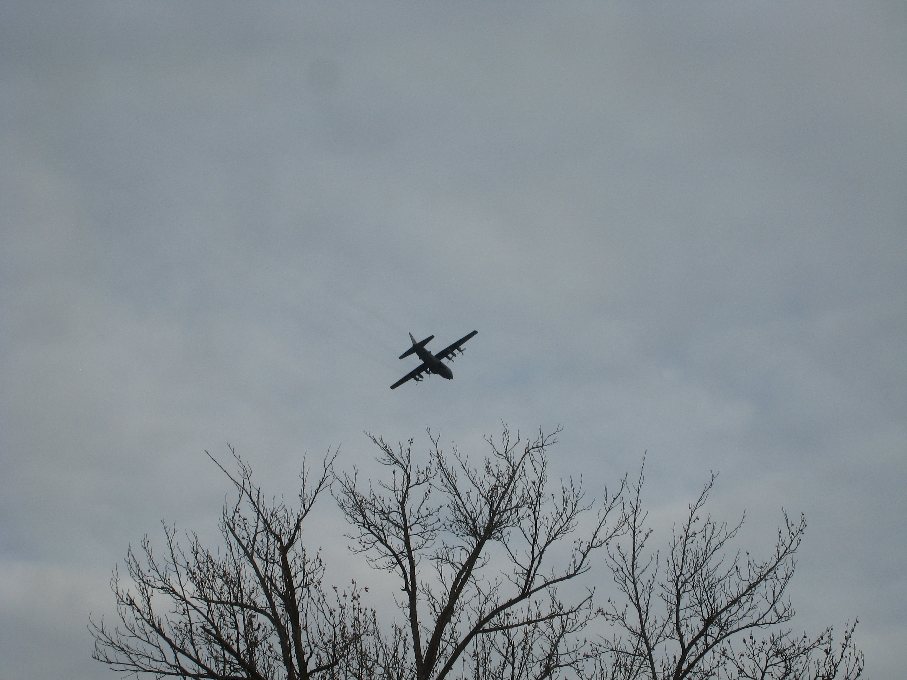IMG_1065.JPG