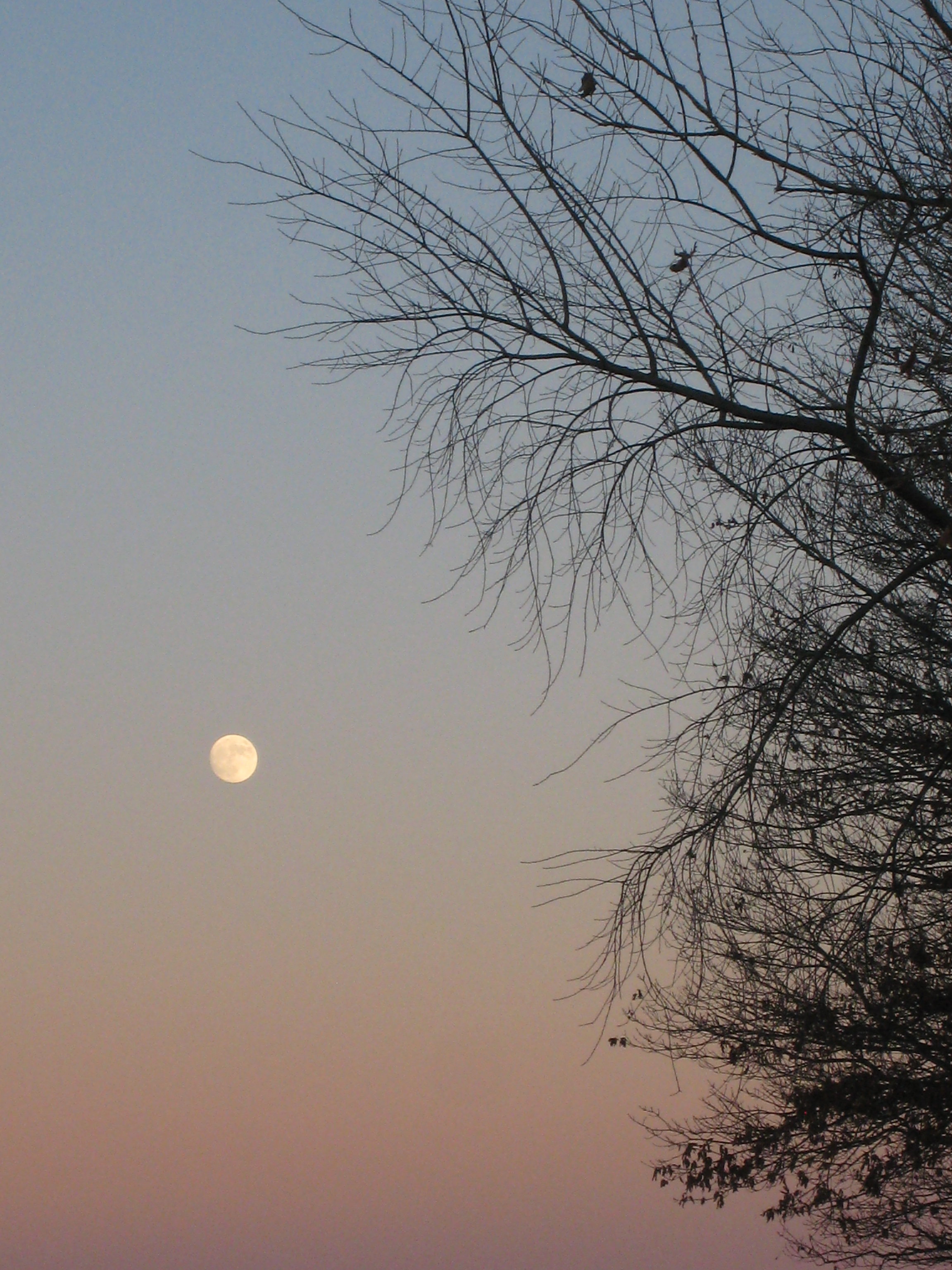 IMG_1184.JPG
