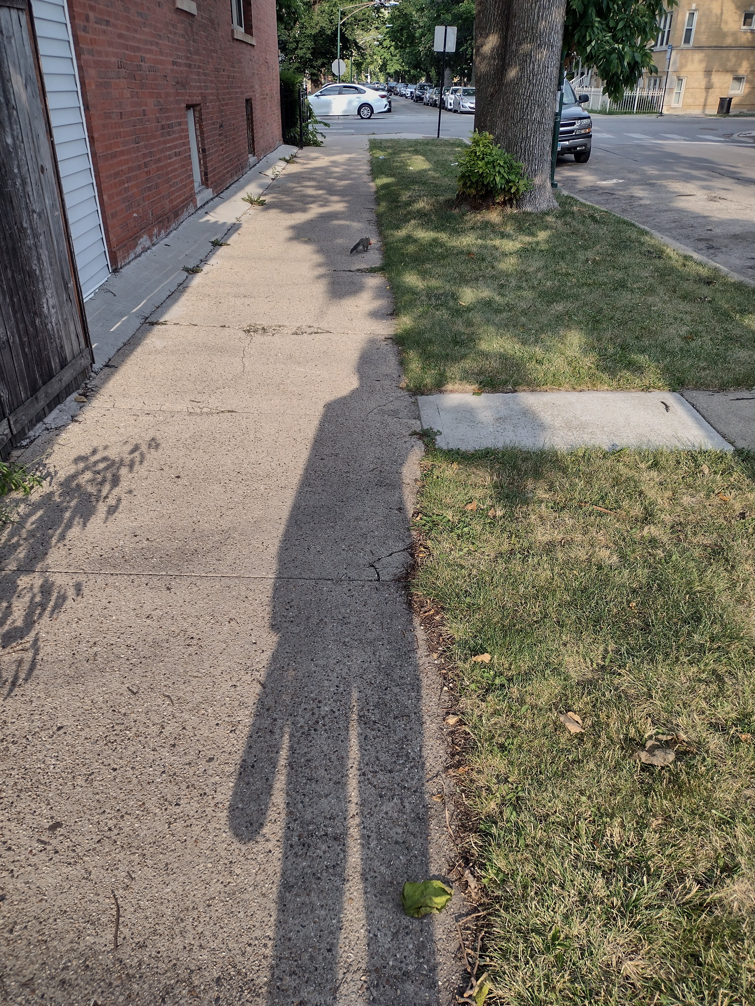 IMG_20220818_175658041_HDR.jpg