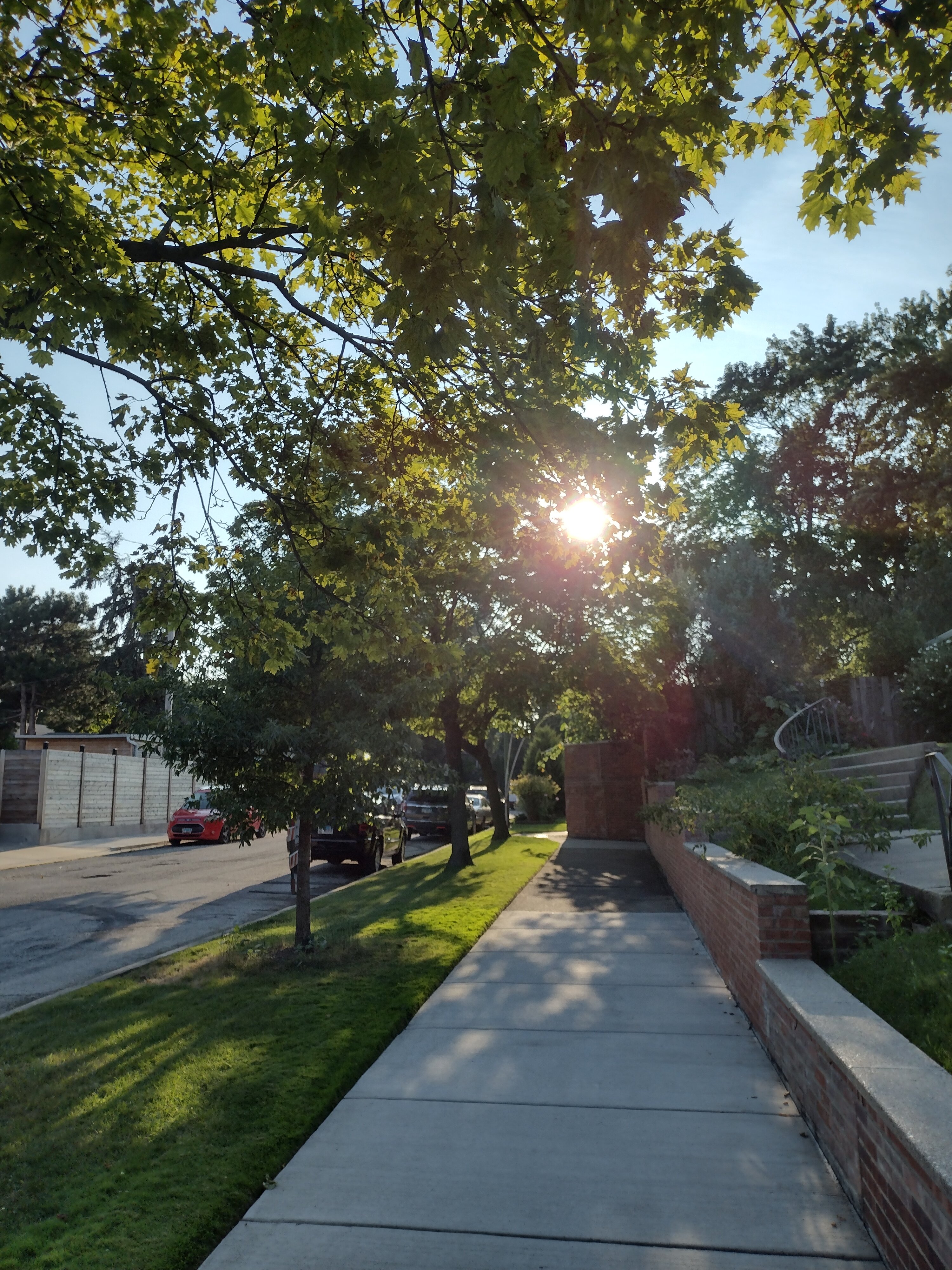 IMG_20220827_175735319_HDR.jpg