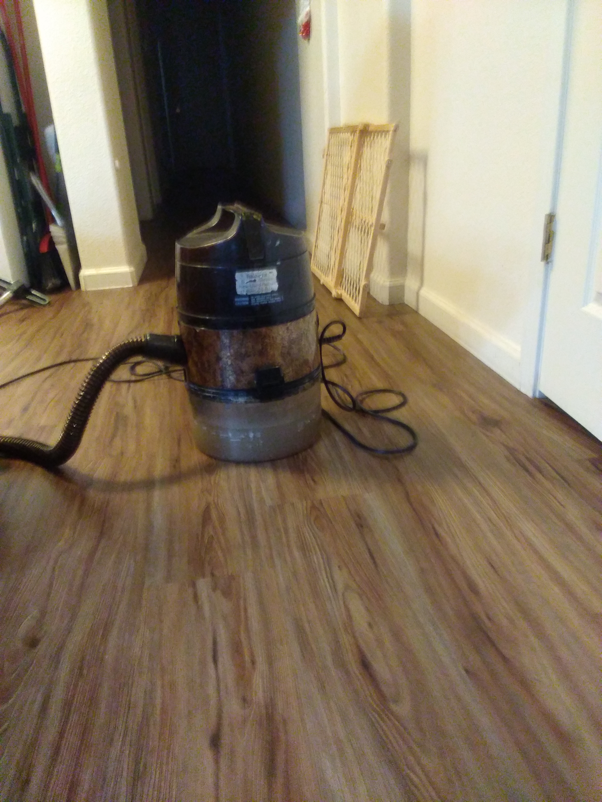 IMG_20221227_155234.jpg