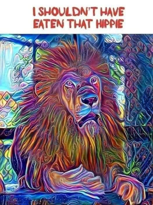 lion.jpg