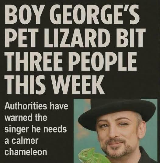 Lizard.jpg