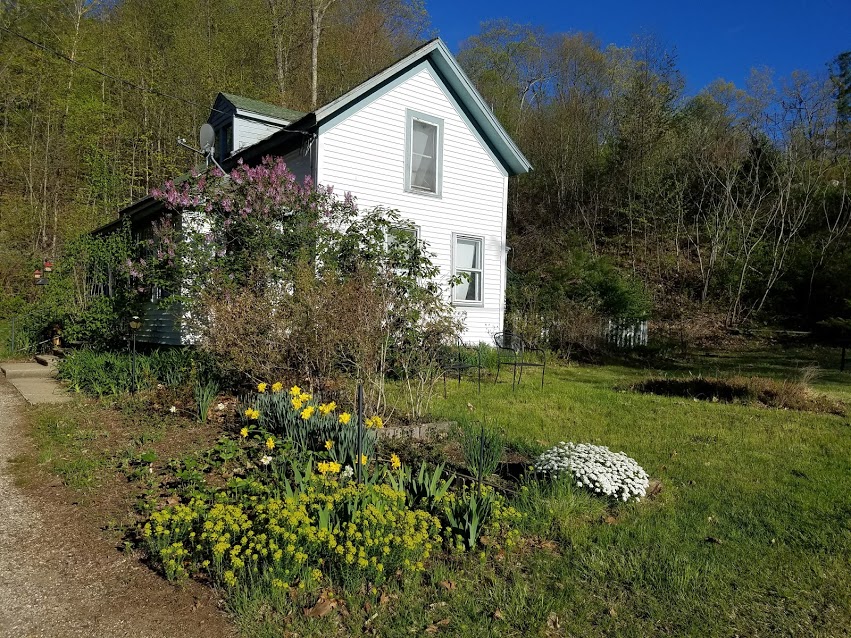 The Hippie Homestead Mark Wein Guitar Lessons   Murty S Jpg.34114