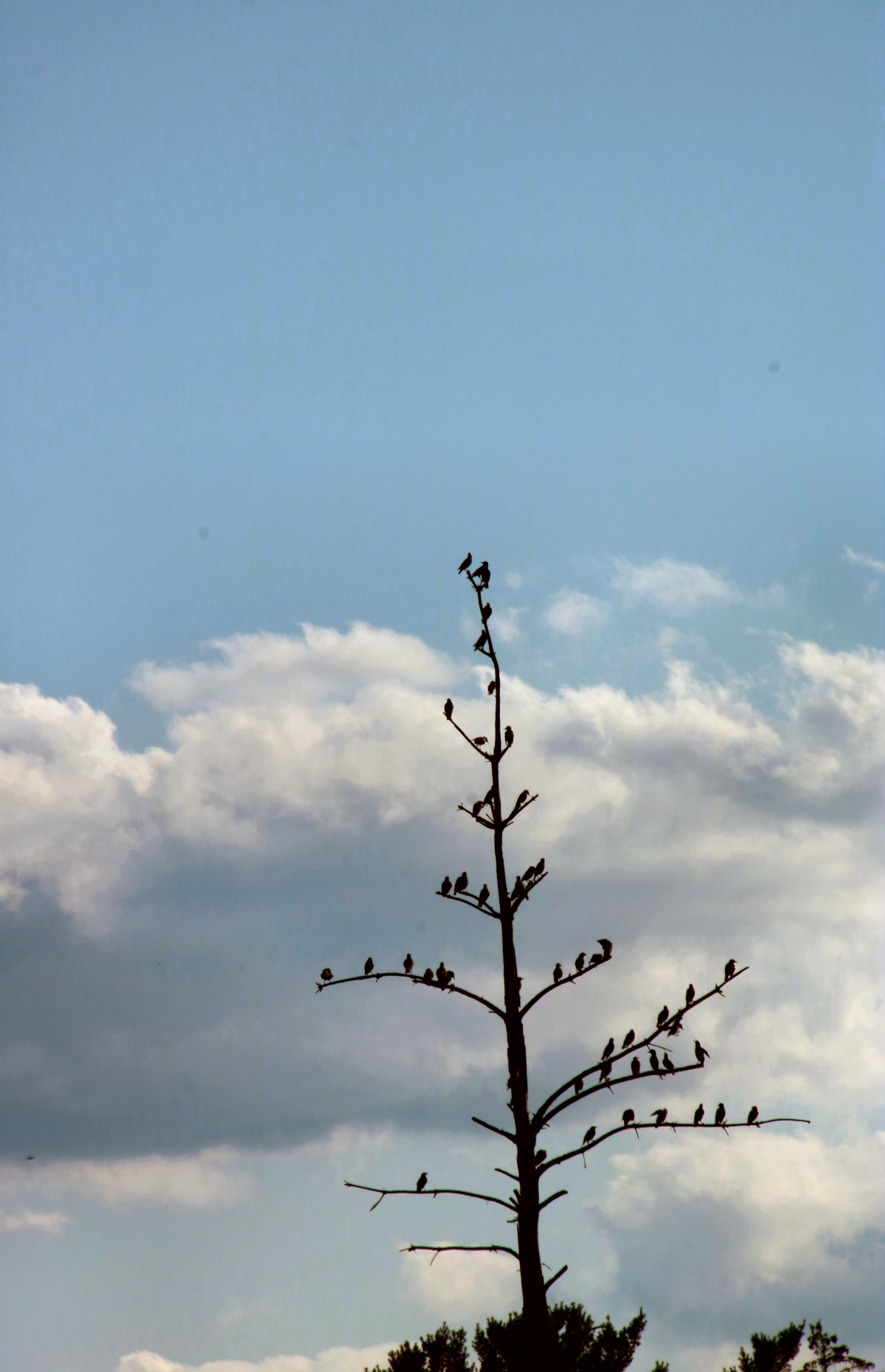 smENHIMG_1082.JPG