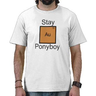 stay_gold_ponyboy_element_pun_t_shirt_tshirt-r53bd24995cca4d13a38e392e992cce77_f0ce3_324.jpg