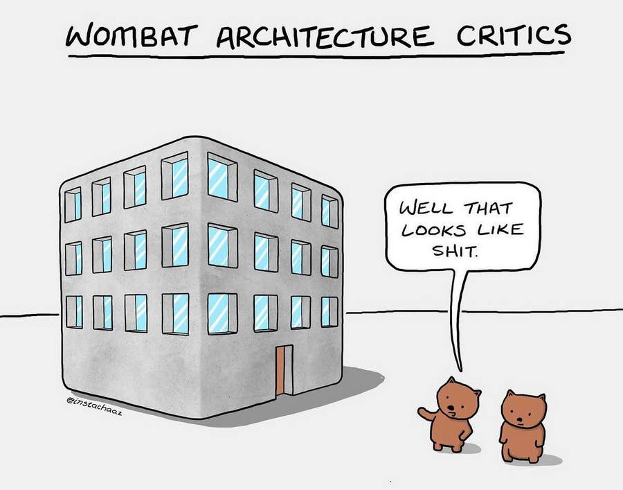wombat.jpg