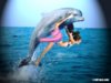 daolphin-caught-raping.jpg