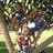 mohamid.hmo